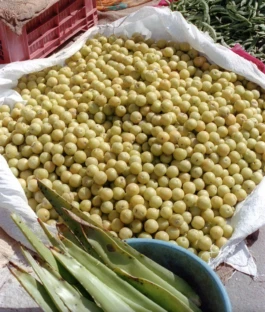 Photograph of amla gooseberries and aloe vera in market 
